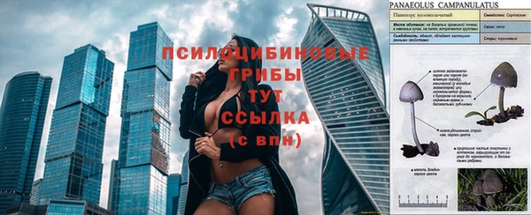 мескалин Иннополис